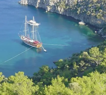 Apollon 2*